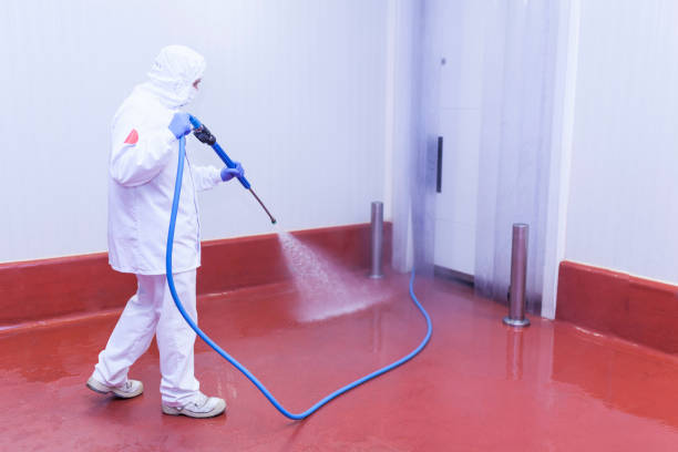 Best Factory Floor Cleaning  in Rocky Point, WA